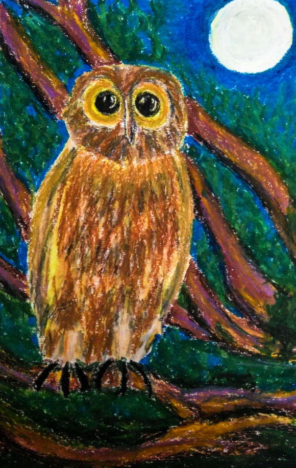 Owl Jacqui du Rocher